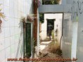 /album/galeria-de-fotos/jogo-06fev2011-blp-14-jpg/
